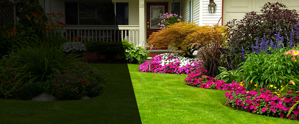 Beardsley Landscapers