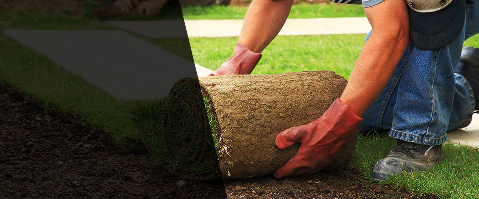 Beardsley Landscapers
